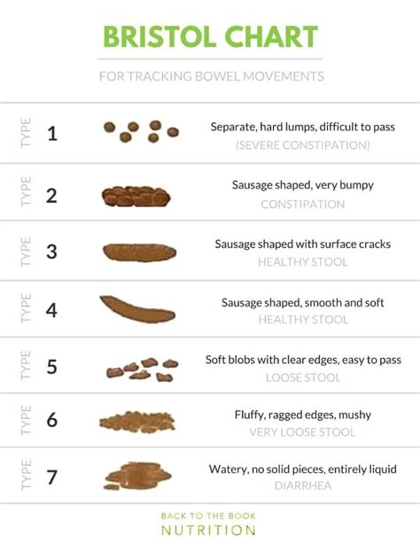 7 Questions You Should Be Asking About Your Bowel Movements Back To