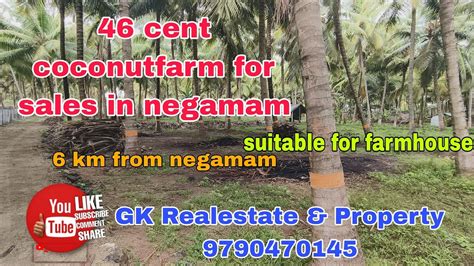 46 Cent Coconutfarm For Sales In Negamam Youtube