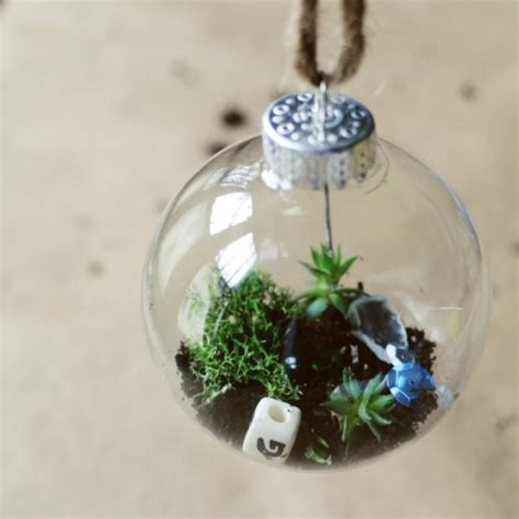 9 Diy Christmas Terrariums With Plants And Not Only Shelterness