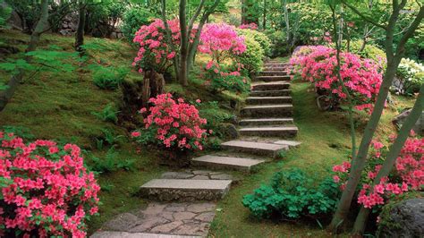 Spring Japanese Garden Picture On Wallpaper 1080p Hd Japanese Garden