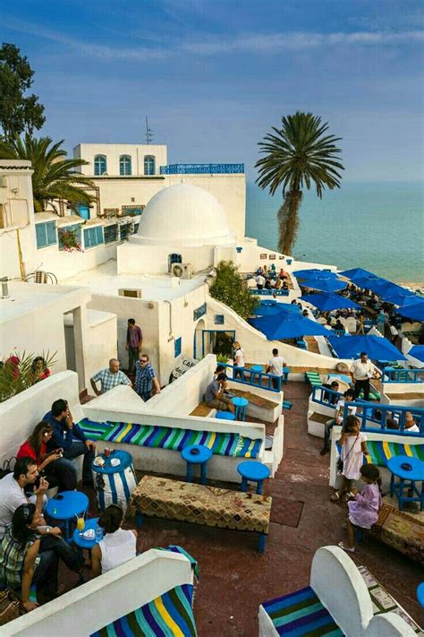 Café Des Délices Sidi Bou Said Tunisie Sidi Bou Said Beach Town