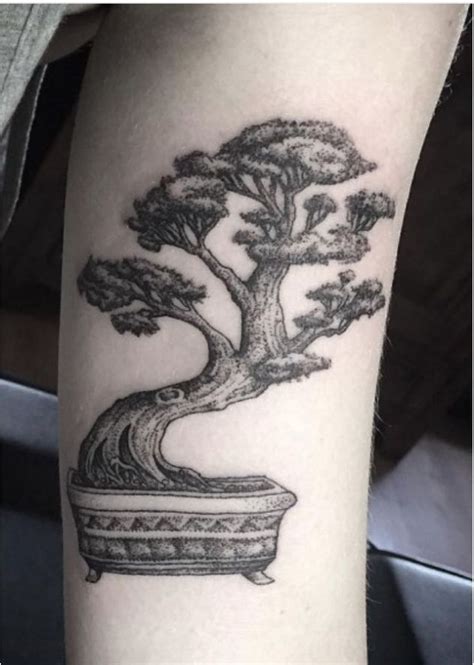 Pin By Gabriel Aquino On Tatuagem Bonsai Bonsai Tree Tattoos Tattoo