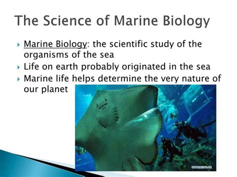 Chapter 1 The Science Of Marine Biology