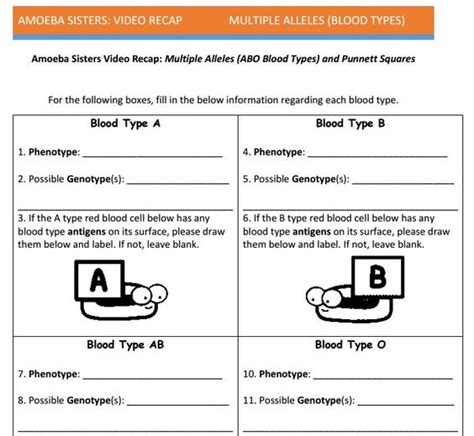 We would like to show you a description here but the site won't allow us. Multiple allele and punnett squares handout made by the ...
