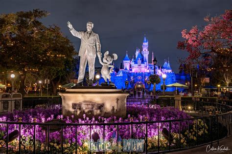 Disneyland Nights A View Unlike Any Other
