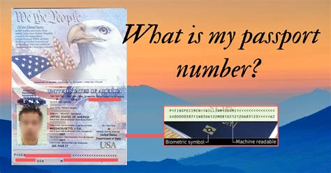 What Is My Passport Number