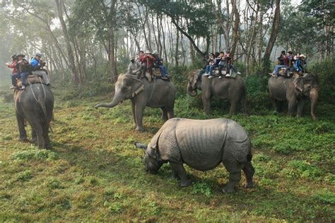 Descubra O Parque Nacional De Chitwan Um Oásis No Nepal