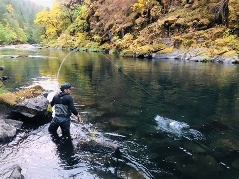 North Umpqua Summer Steelhead On A Dry Fly Fly Fishing Best Fishing