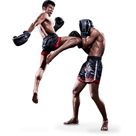 Mma Fight Png Image Png All Png All