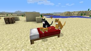 Betten sind blöcke, die einem spieler erlauben zu schlafen und seinen spawnpunkt neu zu setzen. Katze - Das offizielle Minecraft Wiki