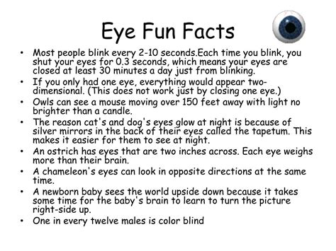 Ppt Eye Fun Facts Powerpoint Presentation Free Download Id6332814