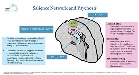 The Dopamine Hypothesis Of Schizophrenia Advances In Neurobiology