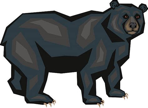 Royalty Free American Black Bear Clip Art Vector Images