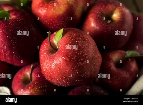 Raw Organic Red Delicious Apples Ready To Eat Stock Photo Alamy