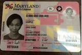 Maryland Drivers License Book