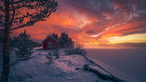 Frozen Lake At Ringerike Norway Winter Scandinavia Snow Trees