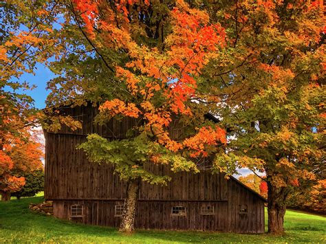 Fall In The Country Beautifulfallcountryday10082020 Photograph By