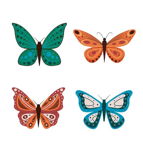 Premium Vector Illustration Of Cartoon Butterflies Isolated On White