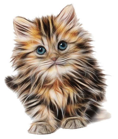 Cat Kitten Felidae Mouse Cuteness Cat Png Download 9361110 Free