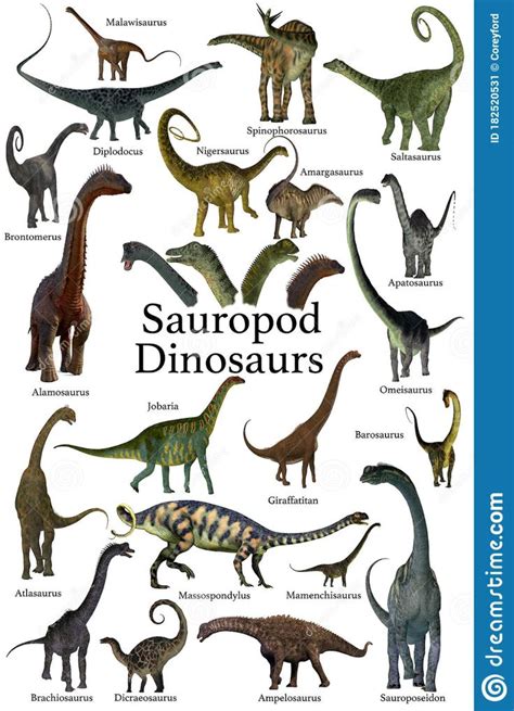 An Illustrated Book With Different Types Of Dinosaurs And Their Names