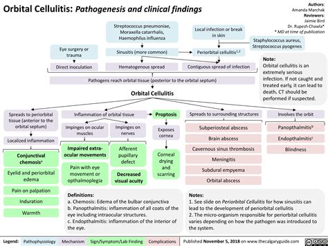 Orbital Cellulitis Pathogenesis And Clinical Findings Calgary Guide