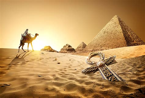 Bilder von Kamele Ägypten Cairo Natur Wüste Sand Sonnenaufgänge und