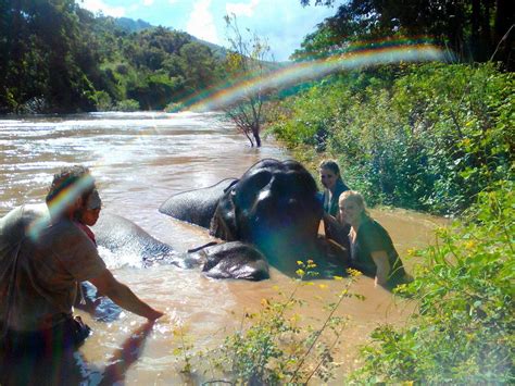 Photos Elephant Steps