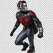 Ant-Man PNG, Clipart, Action Figure, Ant, Antman, Ants, Ants Vector ...
