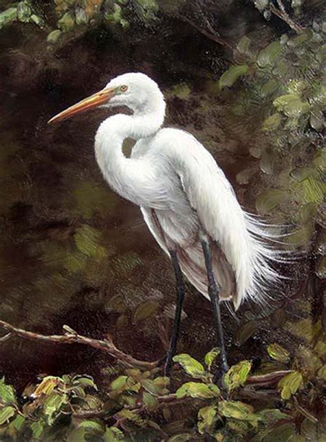Oil Paintings Of Birds Realism Art Oil Painting Nice Animal White