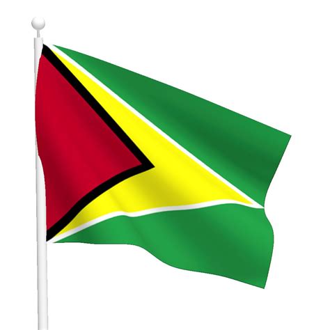 Graafix Flag Of Guyana