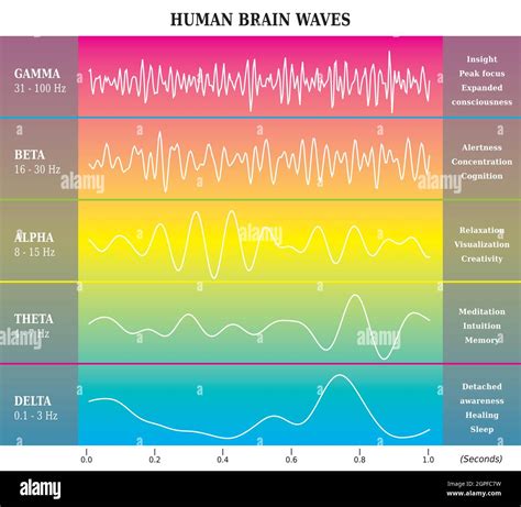 Brain Wave Monitor Stock Vector Images Alamy