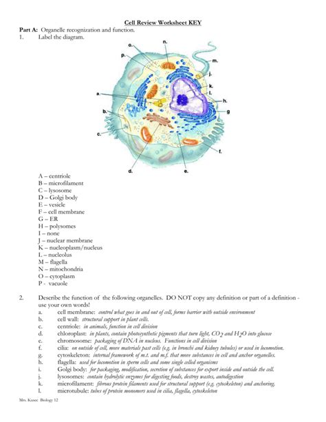 34 Label Cell Organelles Worksheet Labels For Your Ideas