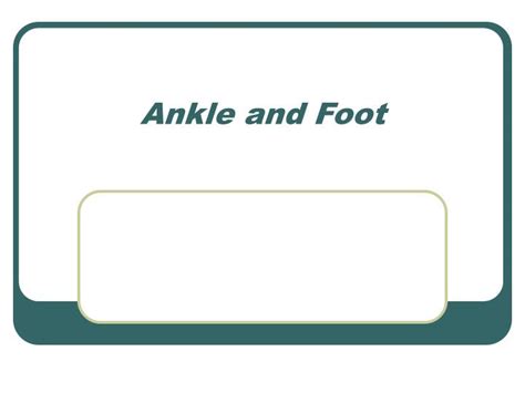 Ppt Ankle And Foot Powerpoint Presentation Free Download Id152709