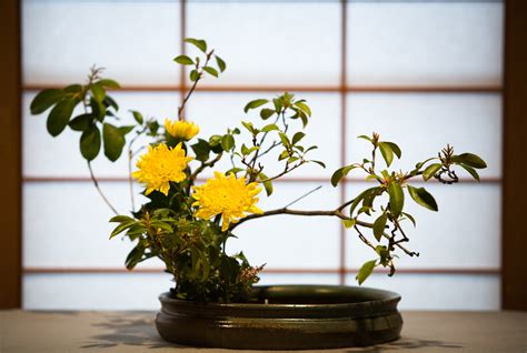 Ikebana The Japanese Art Of Flower G Day Japan