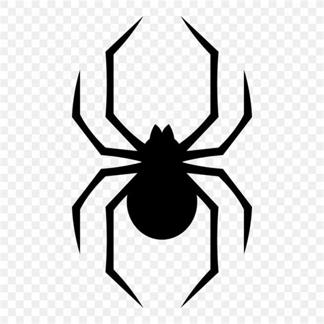 Spider Southern Black Widow Vector Graphics Stock Photography