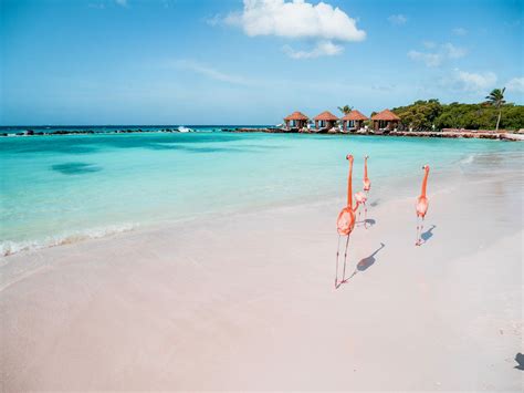 How To See The Flamingos In Aruba Renaissance Private Island