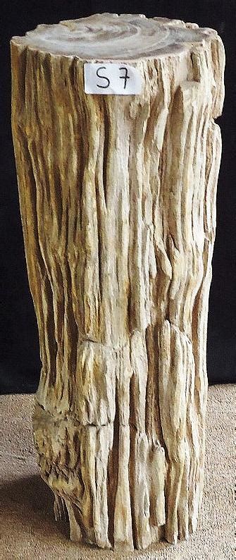 Petrified Wood Sculpture 007 A Eh Designs By Luca Inc