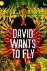 Reparto de David Wants to Fly (película 2010). Dirigida por David ...
