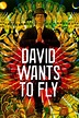 Reparto de David Wants to Fly (película 2010). Dirigida por David ...