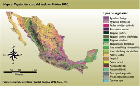 Top 105 Imagenes De Vegetacion De Mexico Destinomexico Mx