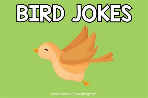 101 Best Bird Jokes That Make You Lol