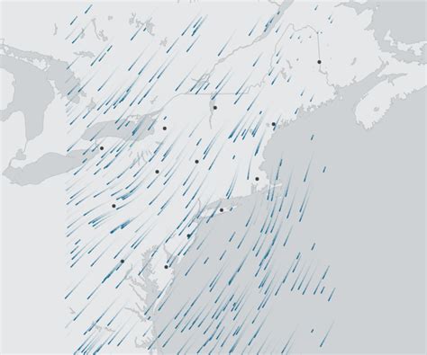 Bird Migration Flow Visualization