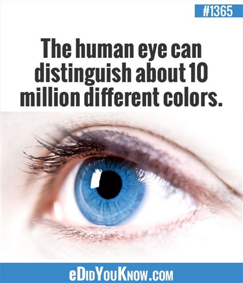 The Human Eye Can Distinguish About 10 Million Different Colors With