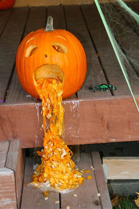 10 Reasons These Pumpkins Are Puking The Cut