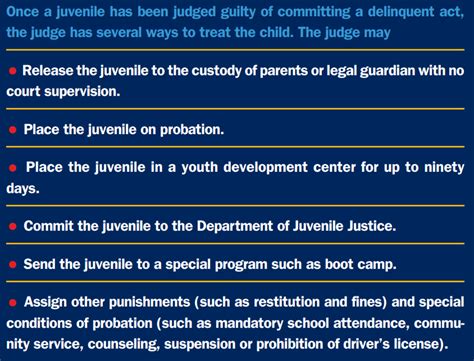 the juvenile justice system mr wilson s georgia history website hendricks middle school