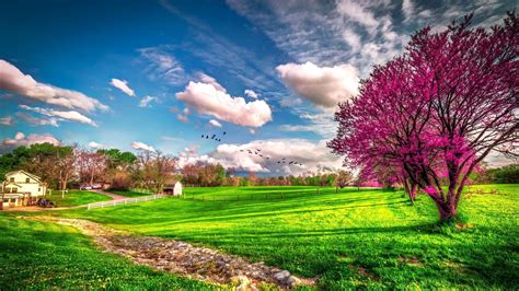 Landscape Beautiful Spring Nature Spring Wallpapers Seasons