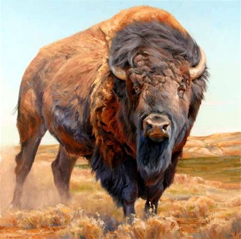 The Artwork Of Edward Aldrich Buffalo Animal Buffalo Painting Bison Art