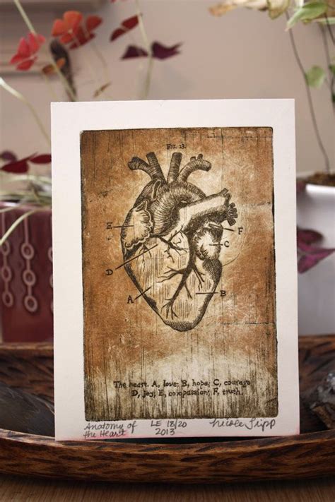 Anatomy Of The Heart Copper Plate Etching By Zootopiadesign On Etsy