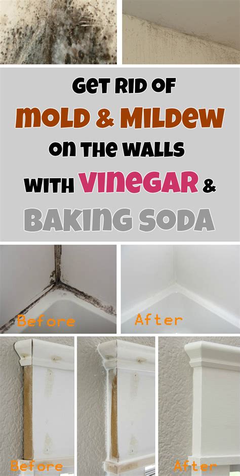 Get Rid Of Mold And Mildew On The Walls With Vinegar And Baking Soda