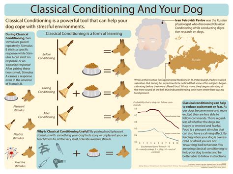 Classical Conditioning In Dogs Ashley Em Miller